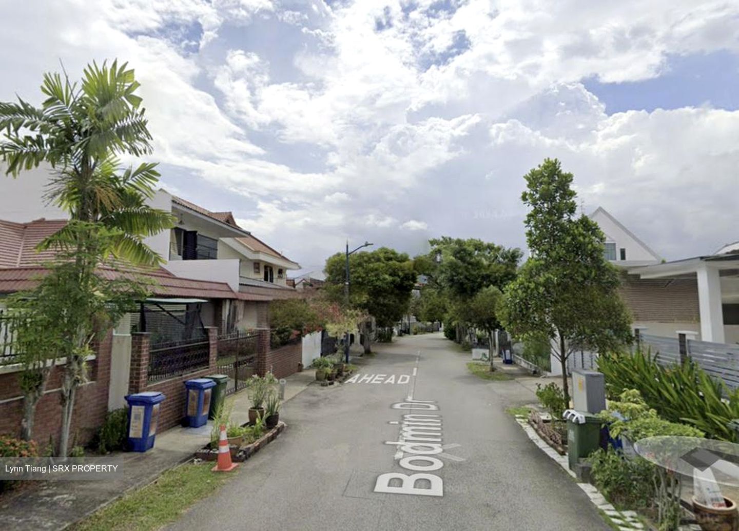 Serangoon Garden Estate (D19), Semi-Detached #458978521